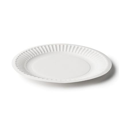 Capri Paper Plates Lunch 175mm White Carton 500_1005455_C-PL0950