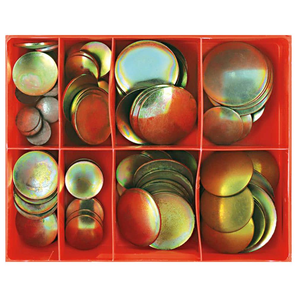 Grab Kit Plug Expansion Disc/Lens Imp Steel 16 Sizes 100 Piece 1602003 CA98
