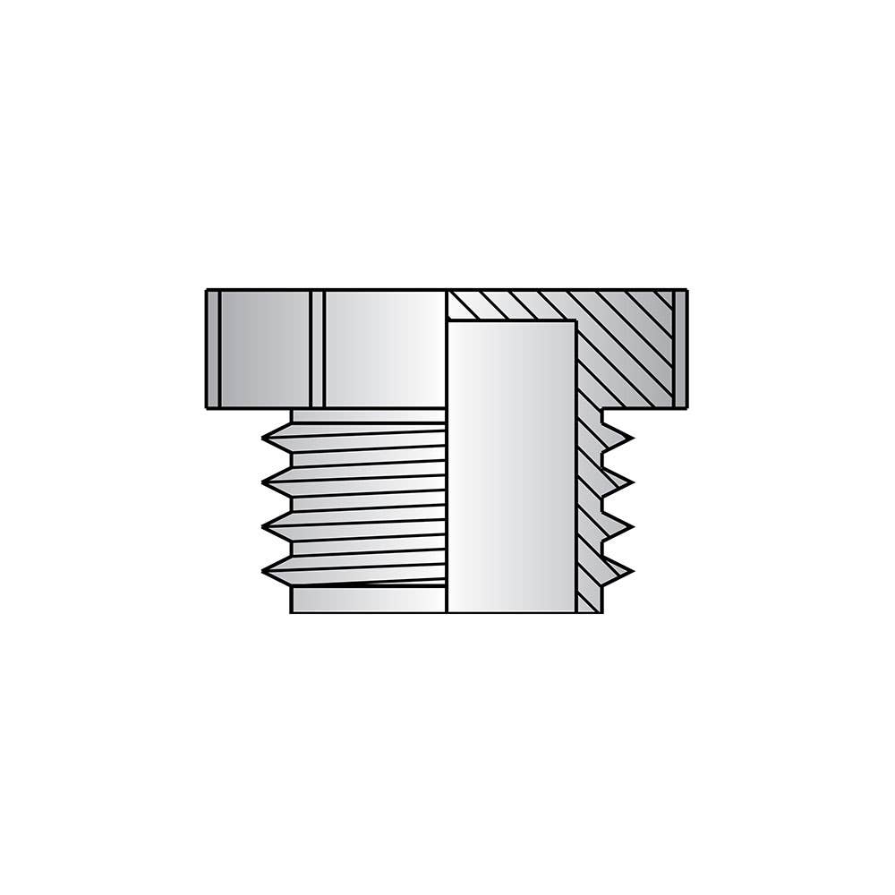 Plug Plastic BSPT/NPT (PF-12) 3/4'' NB_3503013_BPD-12_NLA