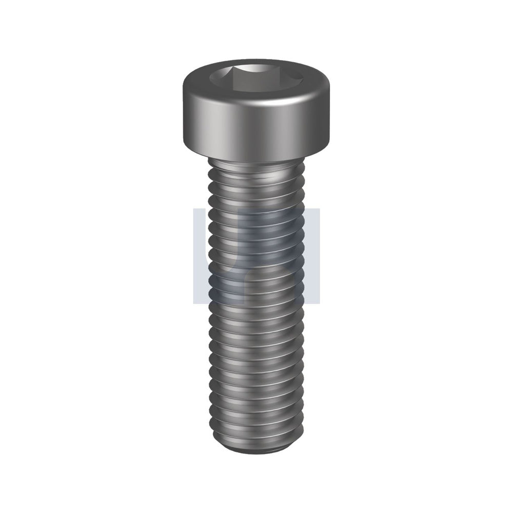 Socket Low Head Cap Screw Plain Din 7984/Class 010.9 M12 50 - Pk 50_40100959_SLSOPCM120050