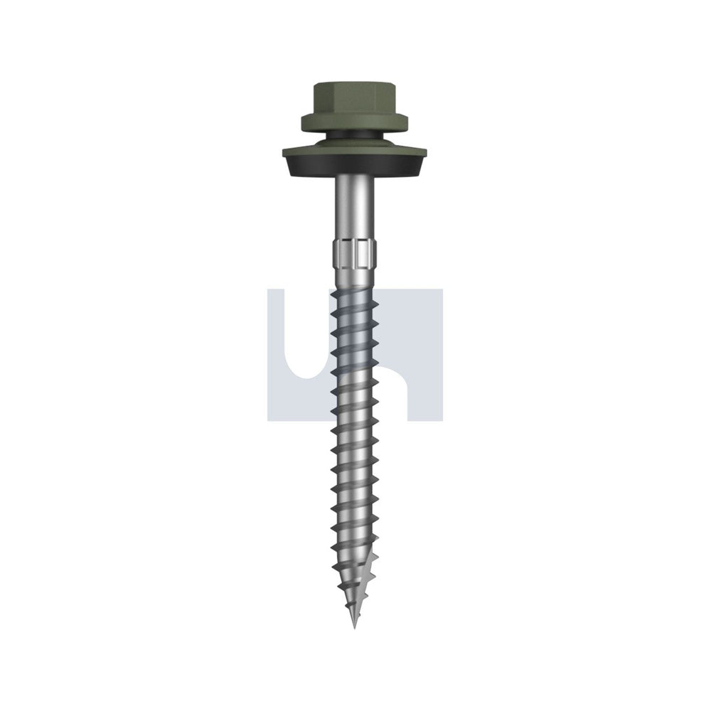 17 Cyclone - Multiseal Pale Eucalypt-Cl4 + SG #14-10 65 - Pk 250_40097454_TPEW4YM1410065