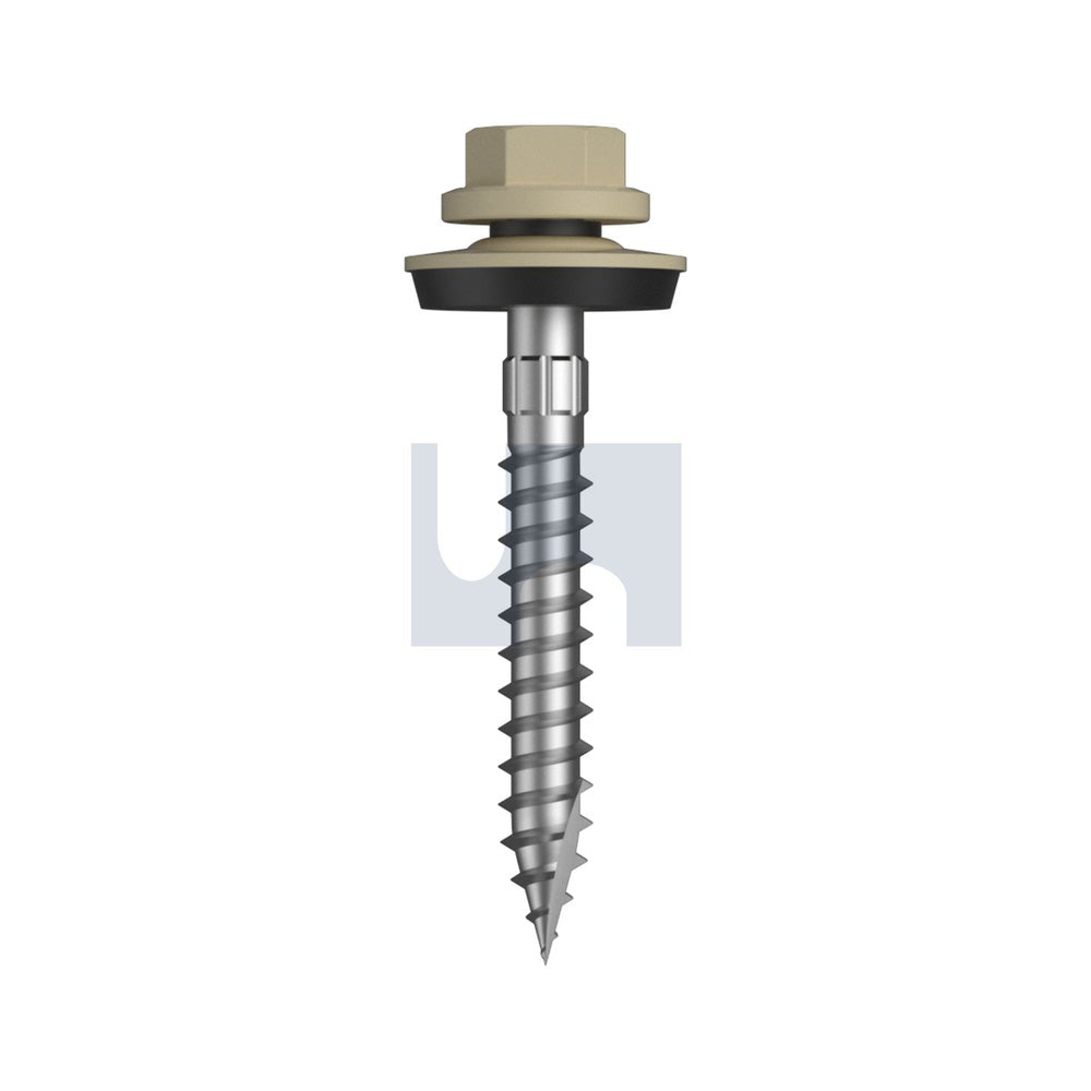 17 Cyclone - Multiseal Classic Cream -Cl4 + SG #14-10 50 - Pk 250_40096673_TCCW4YM1410050