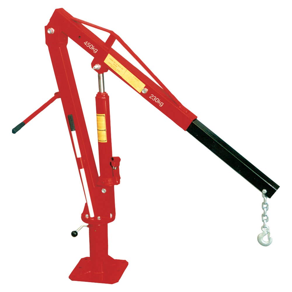 Crane Workshop/Vehicle Swivel Mountable 230/450kg 79906922 A353