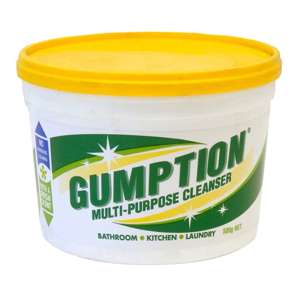 Surface Cleaner Gumption Paste 500g Clorox 90280045 00750