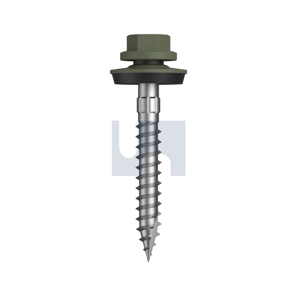 17 Cyclone - Multiseal Pale Eucalypt-Cl4 + SG #14-10 50 - Pk 250_40097453_TPEW4YM1410050