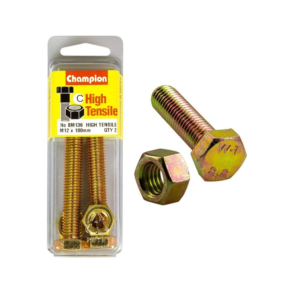Screw Set + Nut Fully Threaded 12 x 100mm Blister Pack 60039702_60039702_BM136