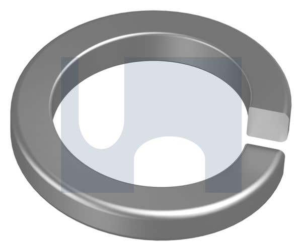 NEPTUNE SPRING WASHER 316 STAINLESS HEC 7980 / A4 -80 M10 - Pack of 100 37100211 WR16NSM10