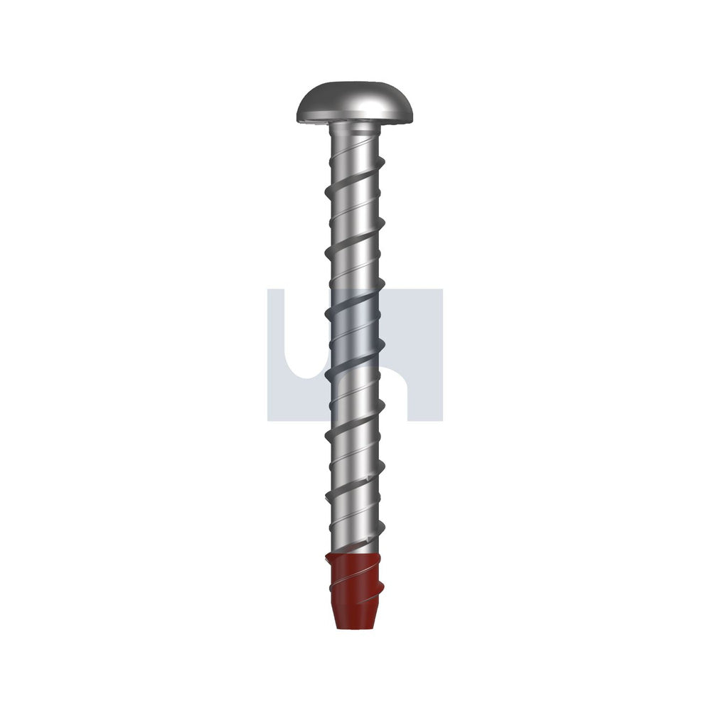 Xbolt - Dome Head Torx Drive Mechanical Galvanised Hec M10 100 - Pk 50_40088985_MXDMSGM100100
