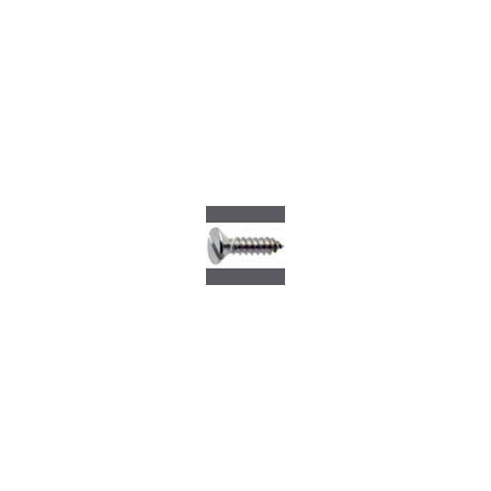 Screw Self Tapping Slotted Pan Head 304 Stainless Steel No.10 x 1/2'' 4620025 G085-10016