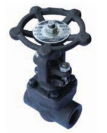 Valve Globe Forged Steel 3/4'' Class 800 20mmnb NPT 94980009 VGL80020