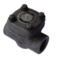 Valve Check Poppet Steel 2'' NPT Class 800 2000psi 50mm 94740011 VCP80050