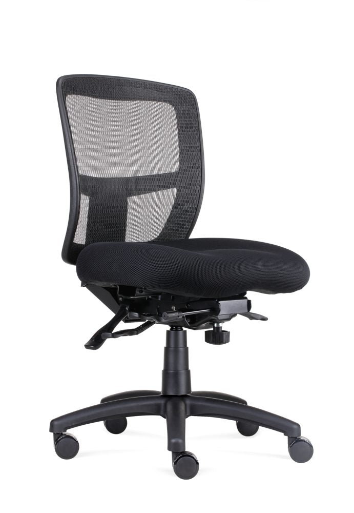 Rapid Ergo Heavy Duty Mesh Chair Fully Ergo 165kg_1043302_ERGO TASK