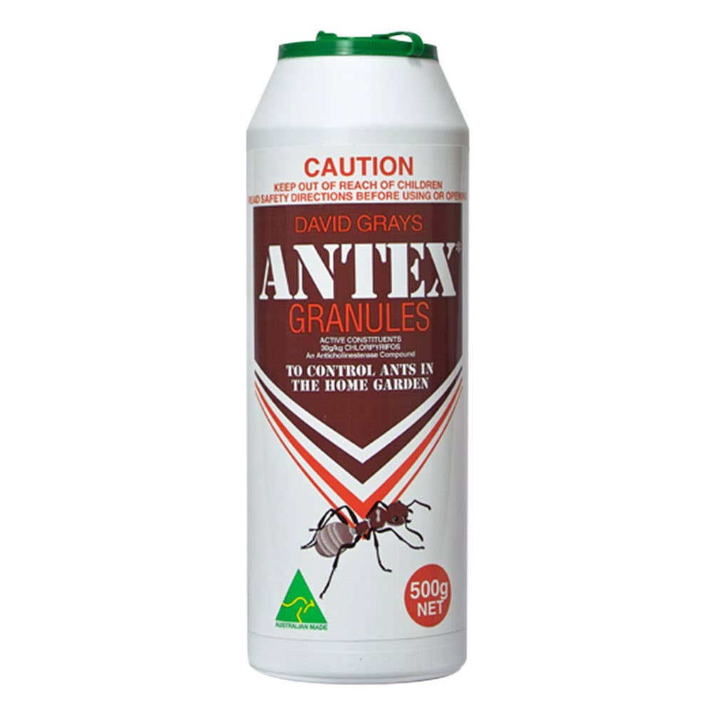 Insecticide Antex Granules 500g 1309011 9310299070518
