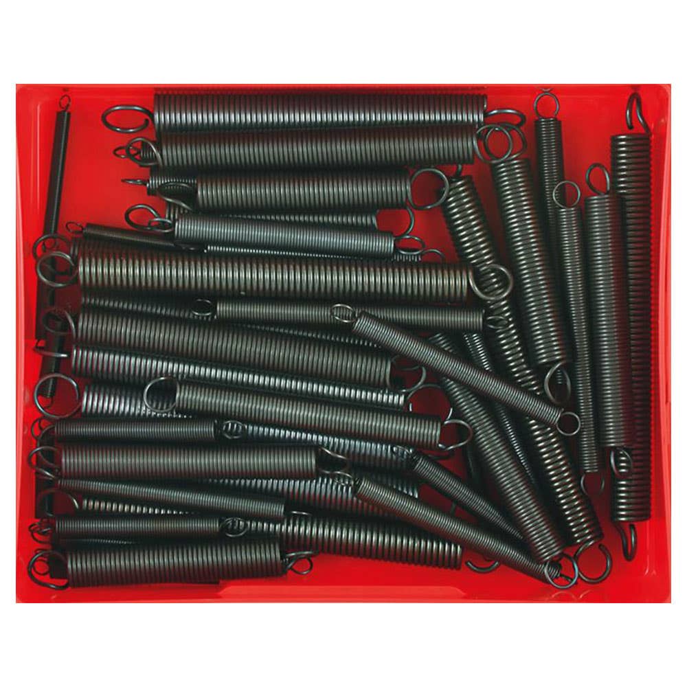 Extension Spring Grab Kit 12 Sizes 1''- 4-3/4'' 48 Pieces CA101 Champion Fasteners 1602004 CA101