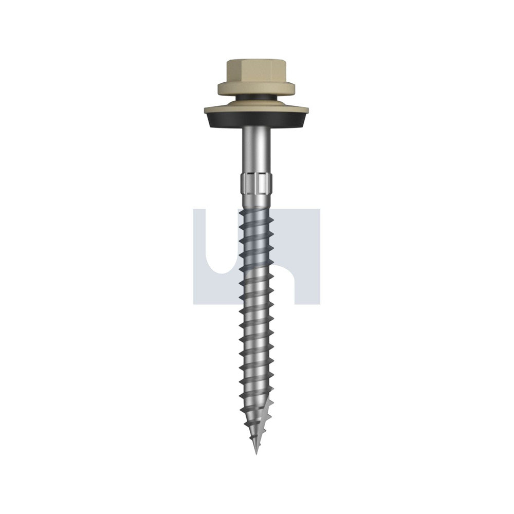 17 Cyclone - Multiseal Classic Cream -Cl4 + SG #14-10 65 - Pk 250_40096674_TCCW4YM1410065