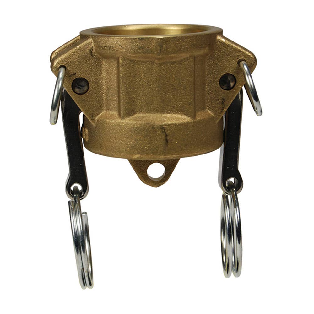 Camlock Brass Type DC 2'' Dust Cap 36000958 BRSS200DC