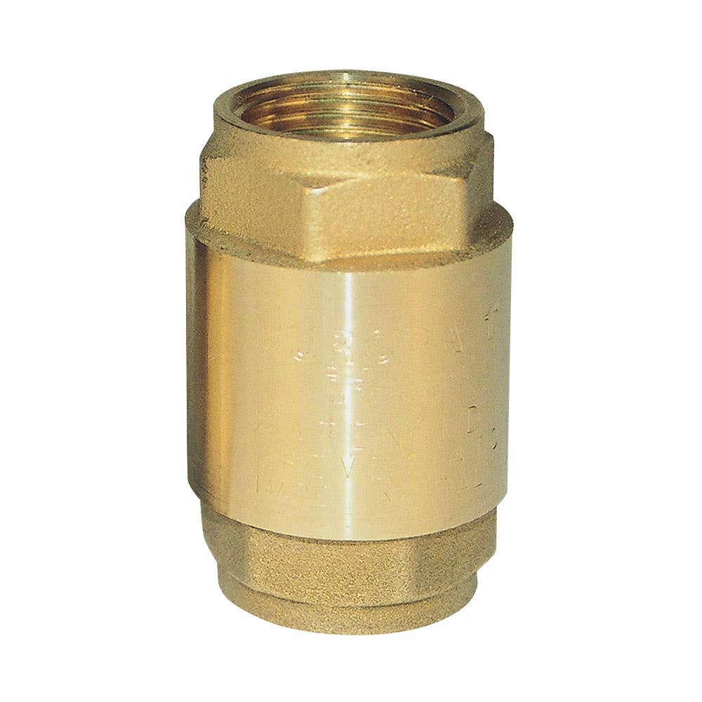 Check Valve Brass Spring 1 BSPT 25mmNB 360psi VBCE25 AAP Industries 2718007 VBCE25