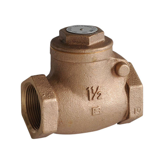 Check Valve Brass Swing 1 BSPT 25mmNB 125psi 2722010 VBCS25