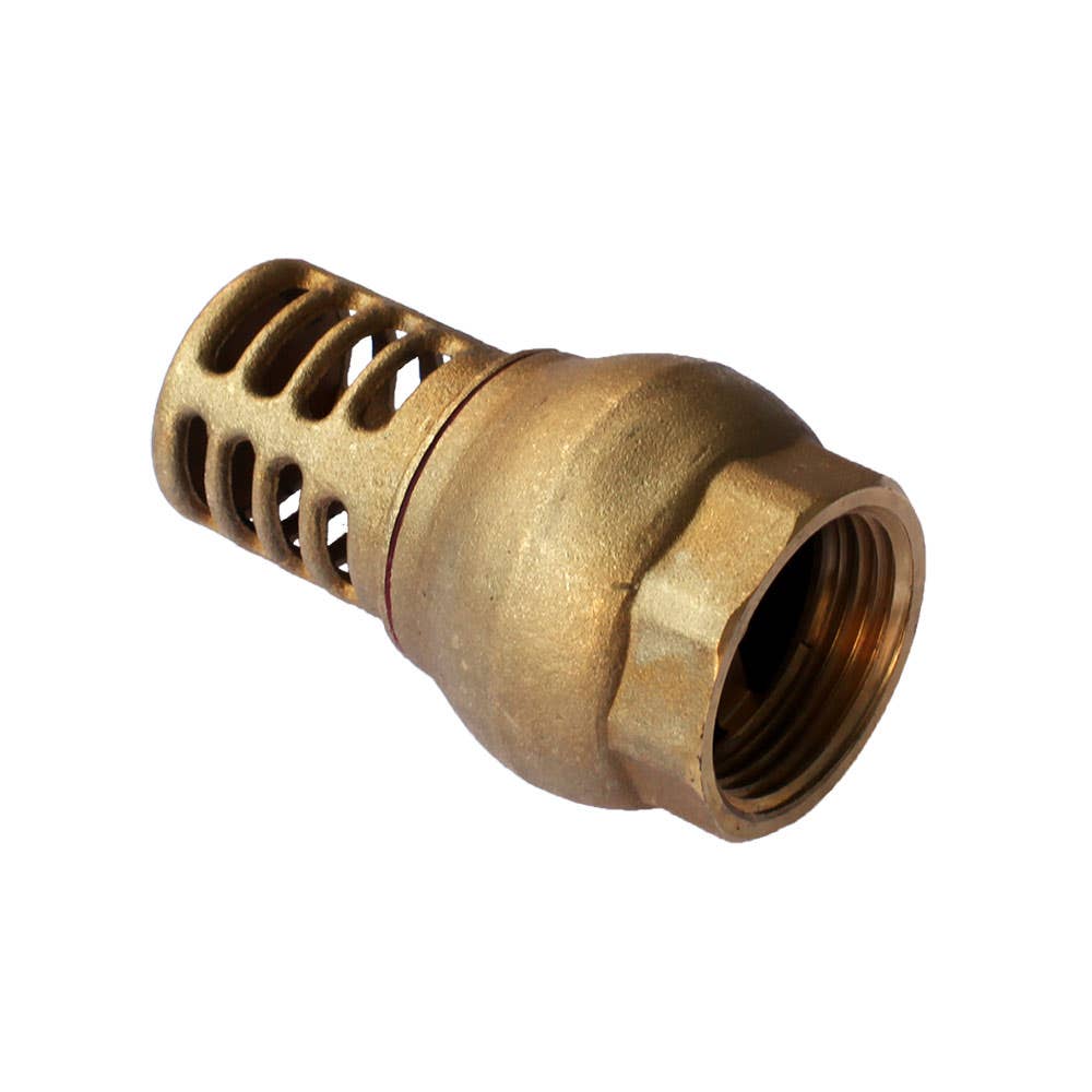 Foot Valve Brass 1 BSPT 25mmNB 140psi AAP Industries 2726001 VBF25