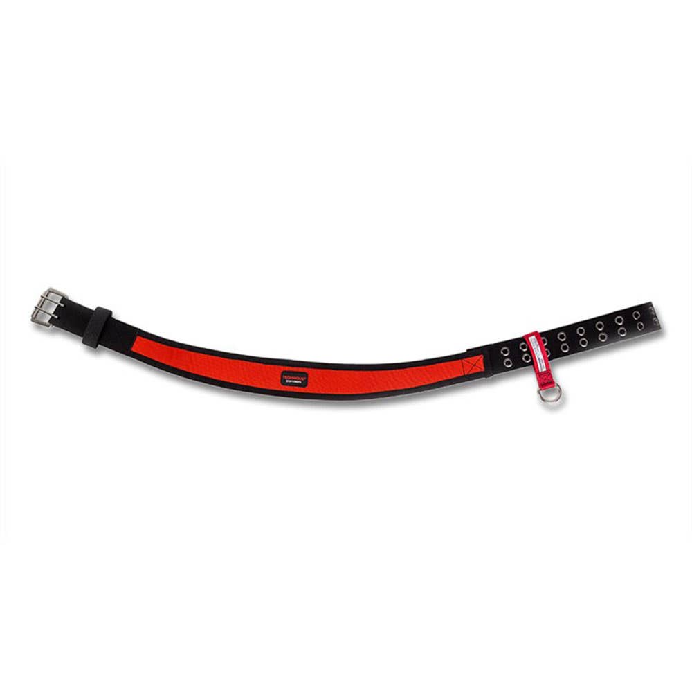 Belt Loop D-Ring Attachment 2.5kg Load Pk 50 H01142 Technique Solutions_283557_H01142-50_NLA