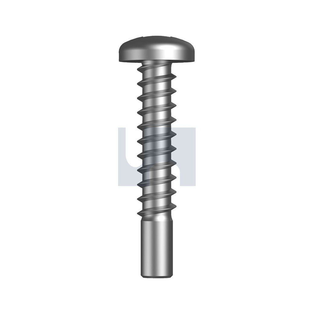 ST Pan Sq Pilot Pnt 410 SS Ansi B18.6.3/410 #10 2 - Pk 1000_40101415_T41PSPQ1016200
