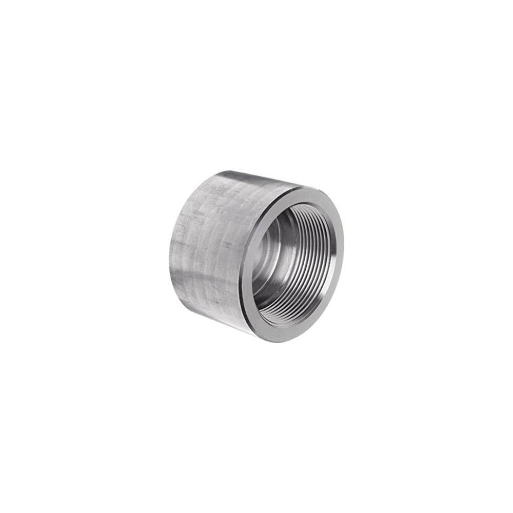 Cap Stainless Steel High Pressure 3,000psi 1/4 NPT 8mmNB 3310008 680033-04