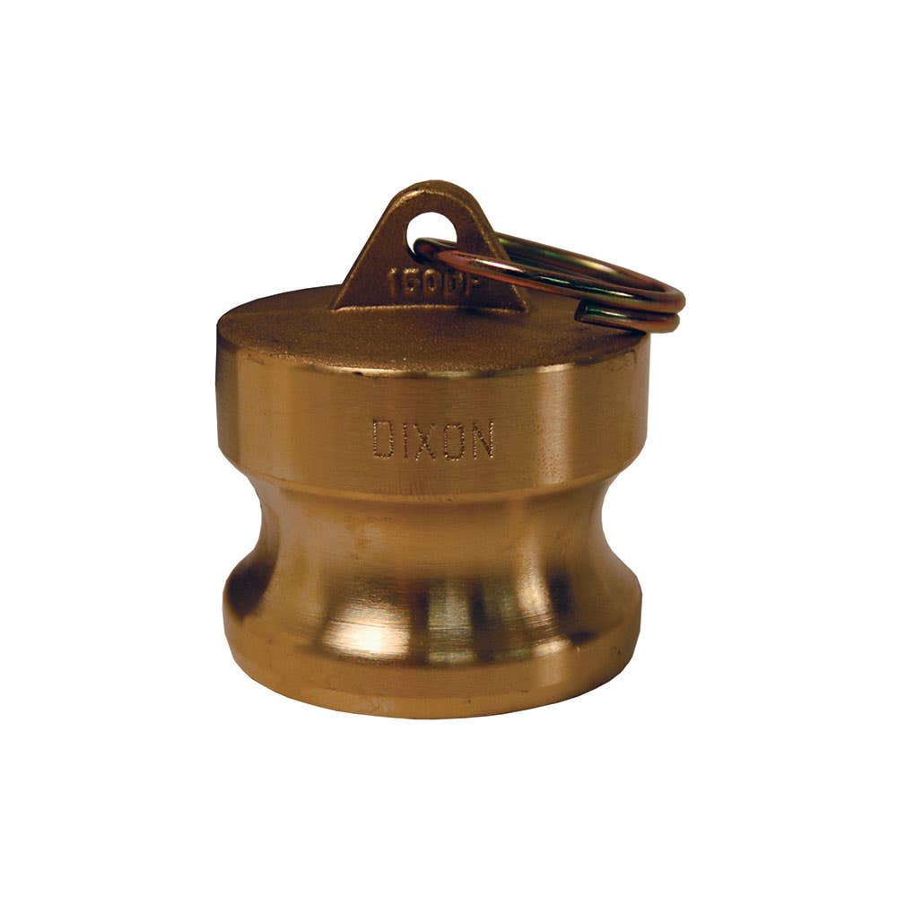 Camlock Brass Type DP 2'' Dust Plug 36000959 BRSS200DP