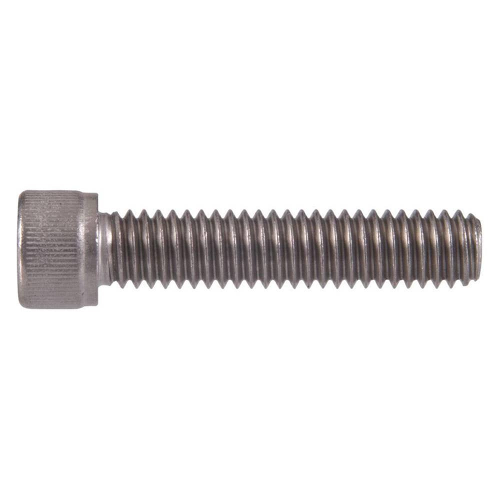 Screw Socket Head Cap Class 12.9 Zinc 10 x 100mm 93598133 SHSOZCM100100