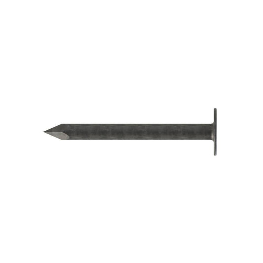 Nail Clout Galvanised 2.80 x 20mm Pk 2kg 36003269 CLPG2028D