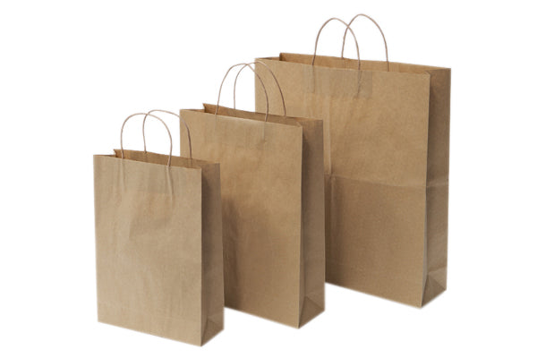 Writers Bag Paper With Handle 350 X 260 X 90mm Brown 250_1007698_EC-PB3326