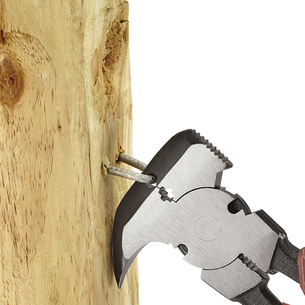 nan