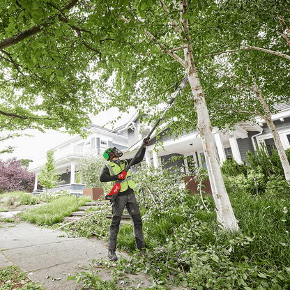 nan