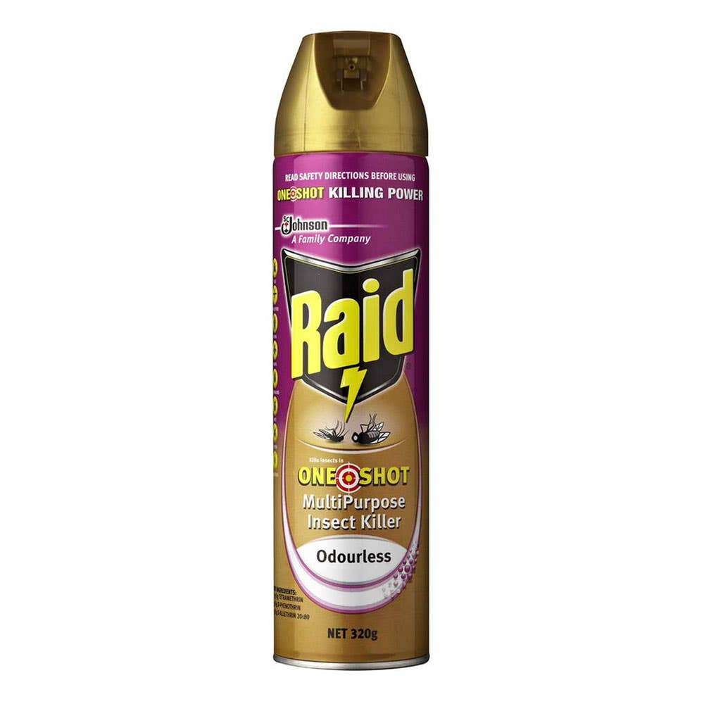 Insecticide Fast Kill Low Irritant Aerosol 300g Raid_60014822_616181