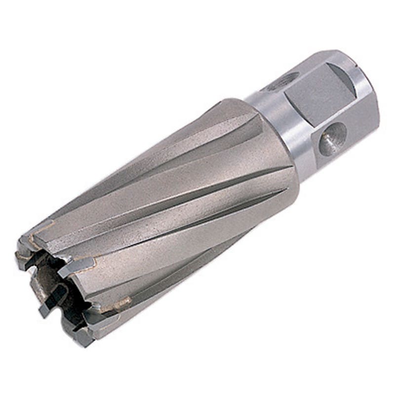 Austbroach Carbide Cutter 39Mmx75mm 171951 NJTK01024