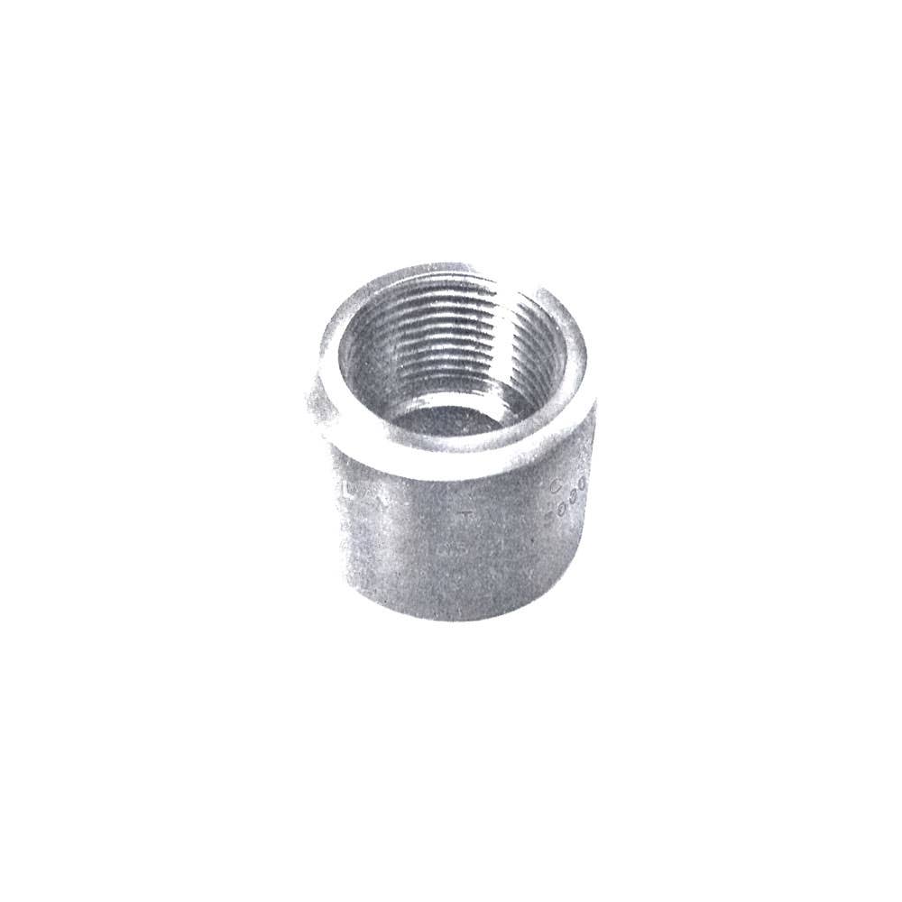 Cap Stainless Steel High Pressure 3,000psi 1-1/2