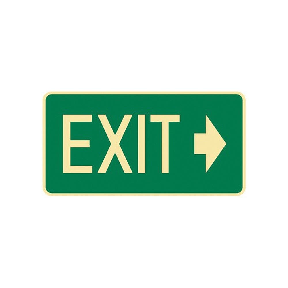 Workplace Safety Exit+Evac Sign Exit Ss 79901849 841182