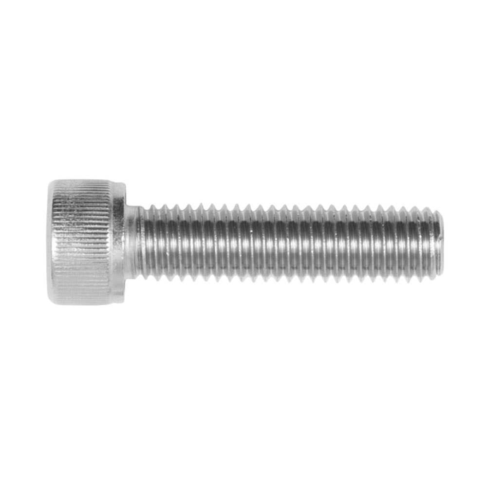 Screw Socket Head Cap 304 Stainless Steel 10 X 100mm 79915563 SH04PCM100100