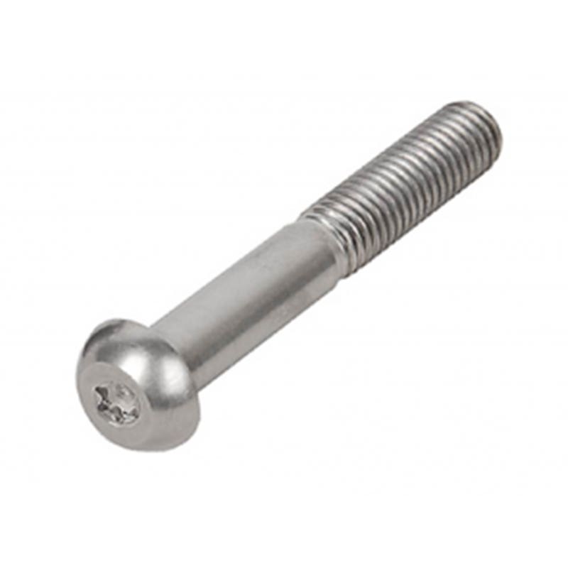 Screw Metal Thread Post Torx Socket Button 304 Stainless Steel 6 X 25mm 79907735 IMS04BTM060025