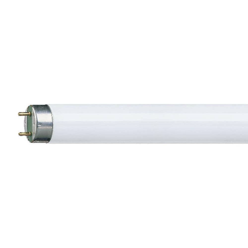 Fluro Tube 36W 1220mm Daylight Tri Phill 79914186 FL3665
