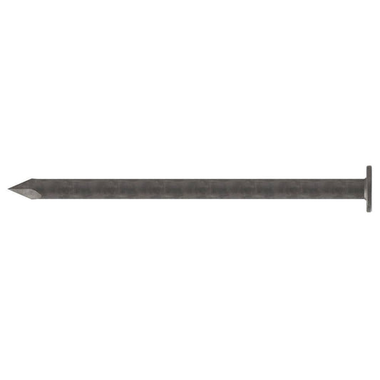 Nail Flat Head Galvanised 2.00 x 30mm Pk 500g 79918584 79918584 N06012