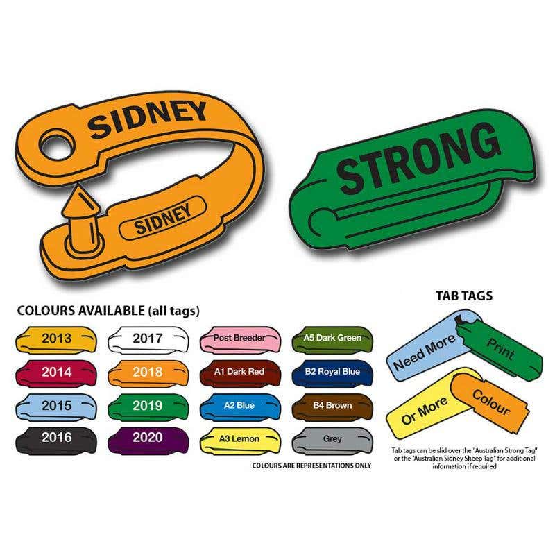 Tag Sidney Blue 70 x 12mm Pk 100 88850900 2007