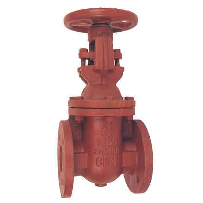 Gate Valve Cast Iron Rising Stem Class 125 4 100mmNB 200psi VCIGRS94D AAP Industries 94758048 VCIGRS94D