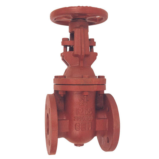 Gate Valve Cast Iron Rising Stem Class 125 4 100mmNB 200psi VCIGRS94D AAP Industries 94758048 VCIGRS94D