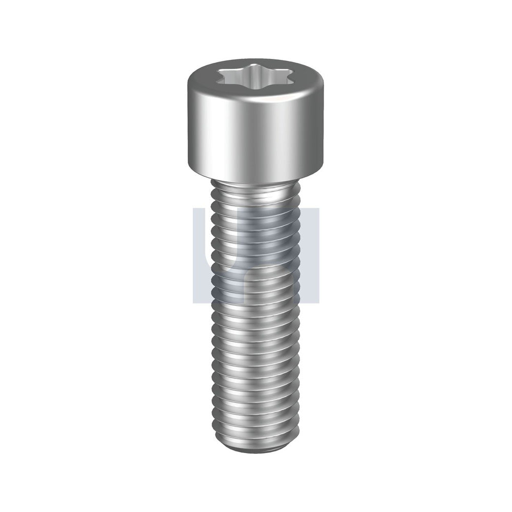 Socket Head Cap Screw Torx 304 Stainless Iso 14579/A2 M3 6 - Pk 100_40100313_SH04POCM03006