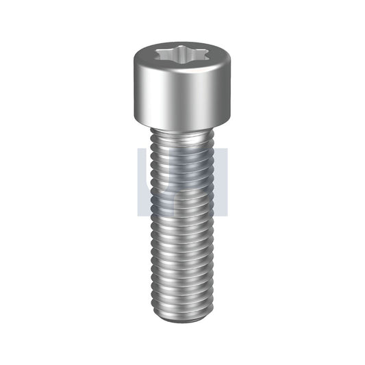 Socket Head Cap Screw Torx 304 Stainless Iso 14579/A2 M3 6 - Pk 100_40100313_SH04POCM03006