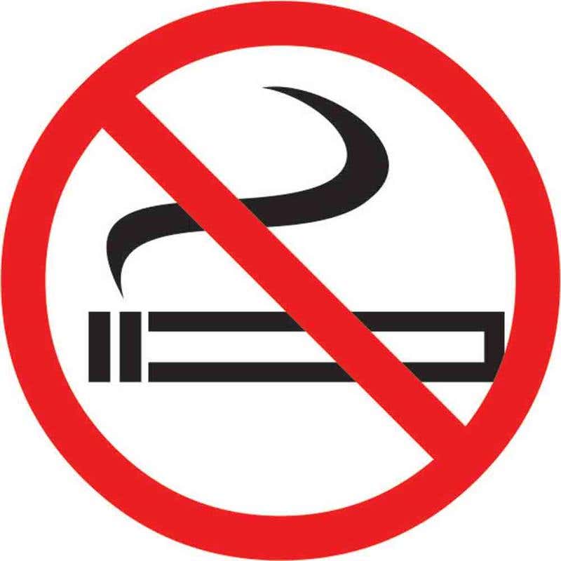 Pictogram No Smoking 100mm 88894223 PPNSMO100DS