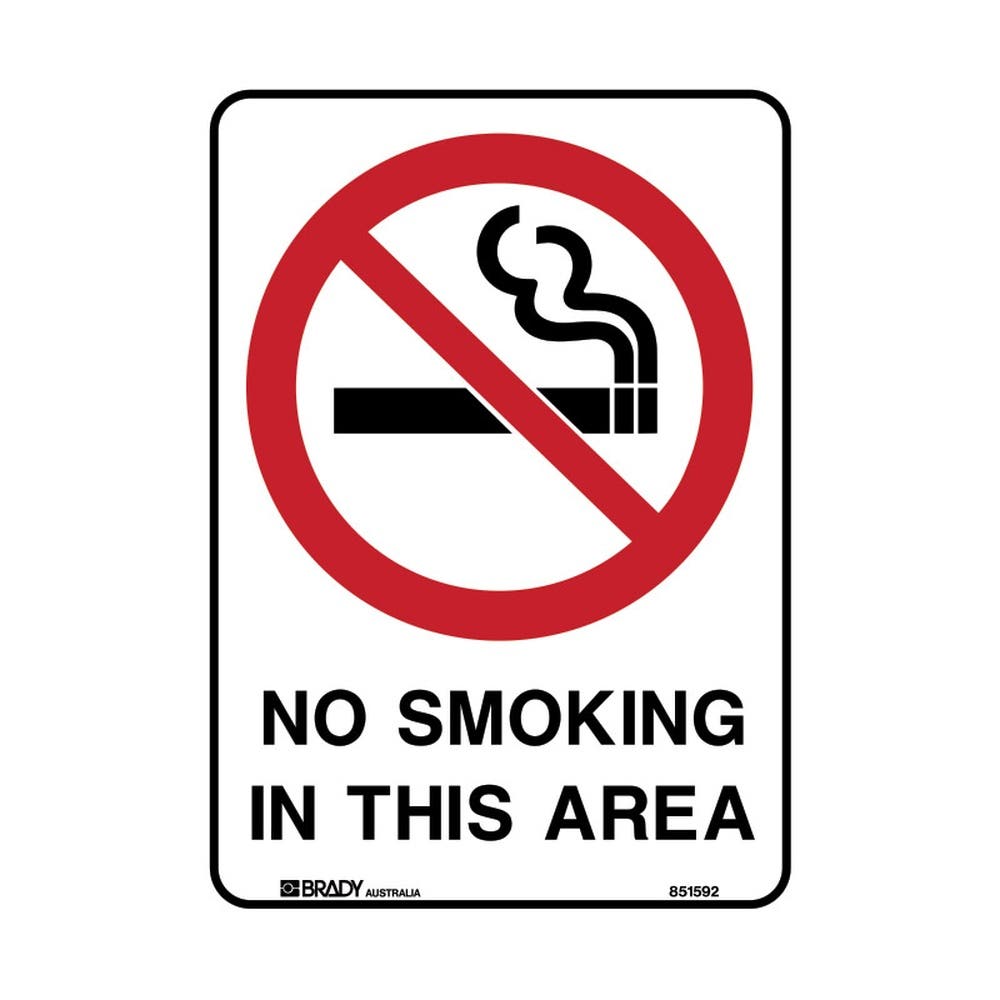 Sign NO SMOKING IN THIS AREA Luminous 90031943 851594