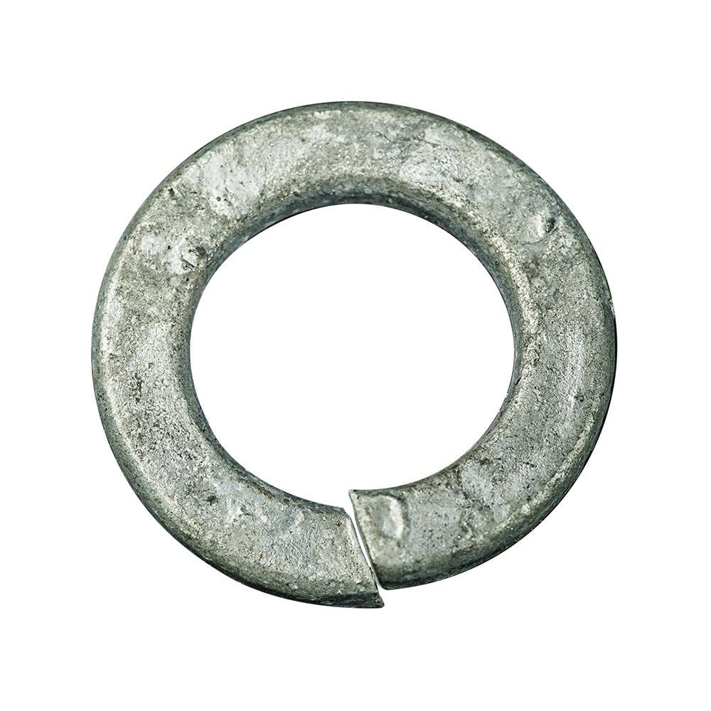 Washer Flat Spring Galvanised 16mm 2003005 WRMSGSM16