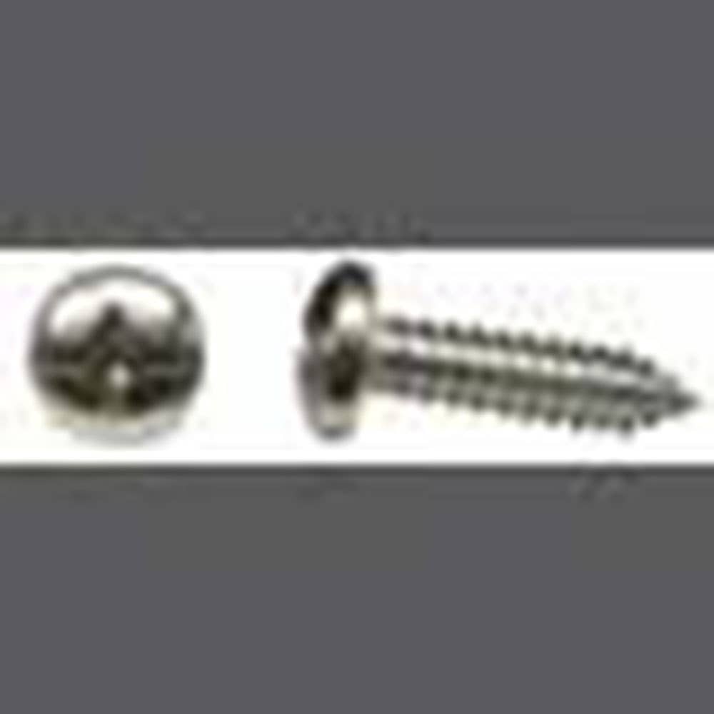 Screw Self Tapping Slotted/Phillips Pan Head 304SS 10G x 1'' Pk 100 93751012 CWS8625