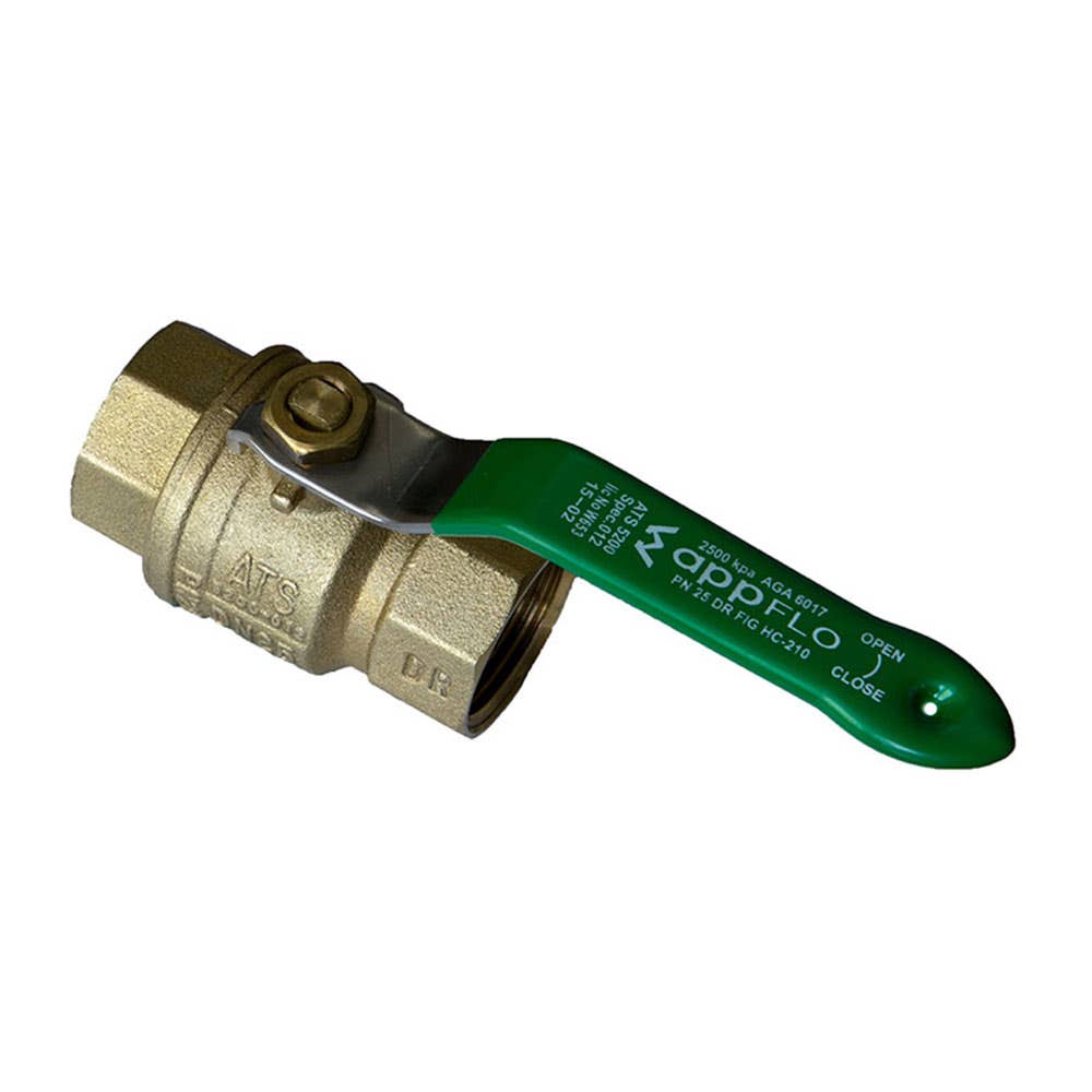 Ball Valve Brass 2 Piece Full Port DR AGA 1 BSPT 363psi VBBD25 AAP Industries 94708023 VBBD25